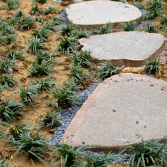 Anothera drainage gravel bottom layer helps prevent root rot in pots