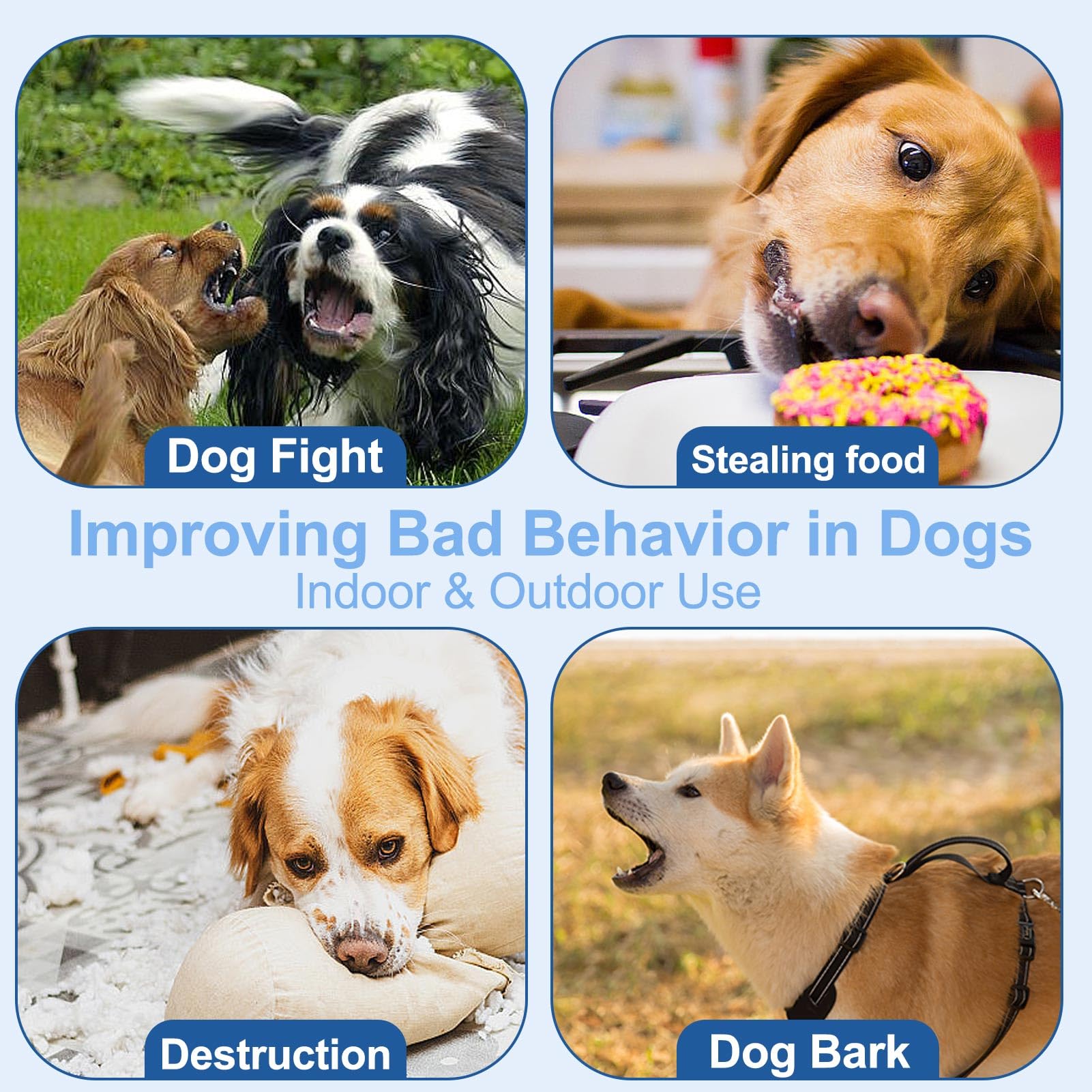 ANSJDH behavior correction at home to reduce jumping and food stealing.