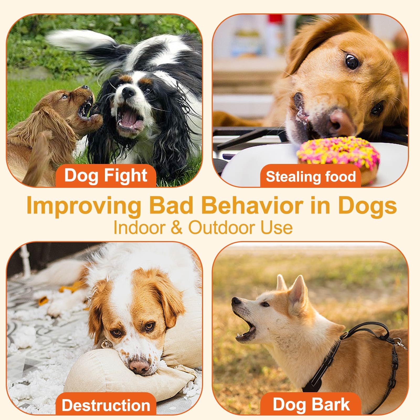 ANSJDH four-pack dog training kit for home and public practice.