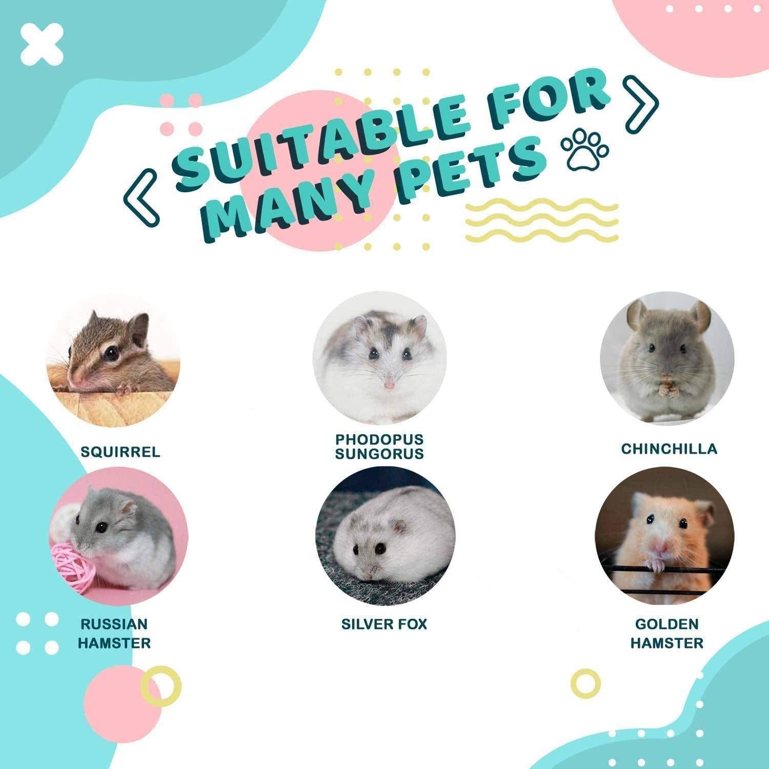 antiai hamster wooden silent wheel chew-safe design, supports healthy tooth wear