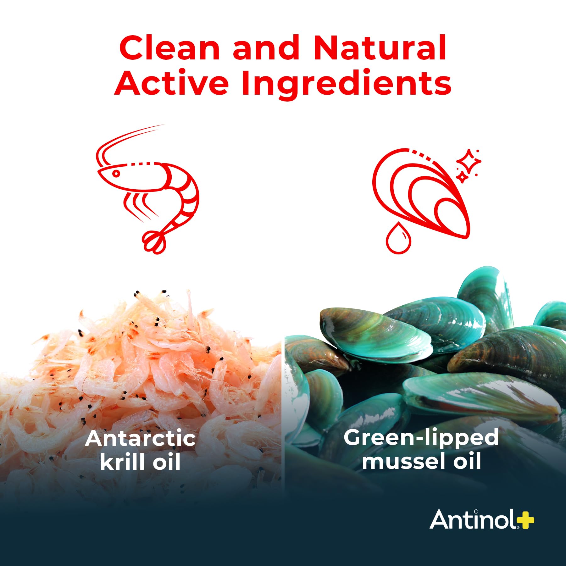 Antinol Plus Antarctic krill oil visual, antioxidant blend