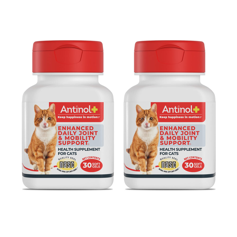 Antinol Plus bottle front highlighting cat joint support.