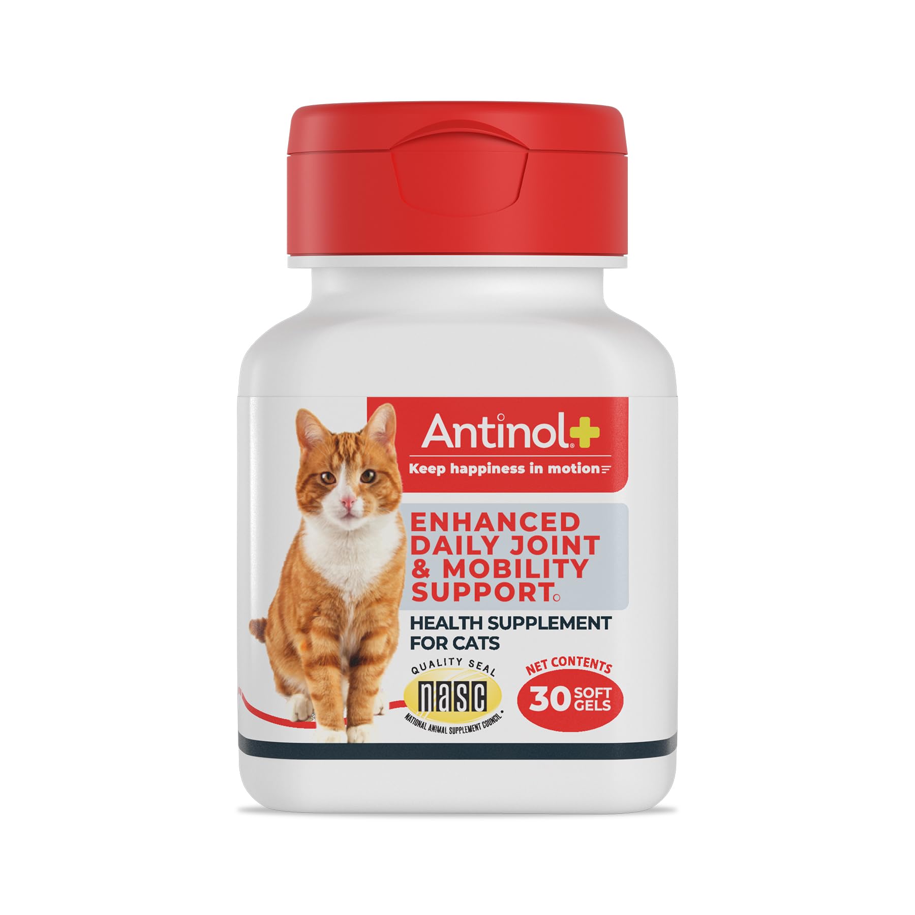 Antinol Plus bottle front showing joint support for cats