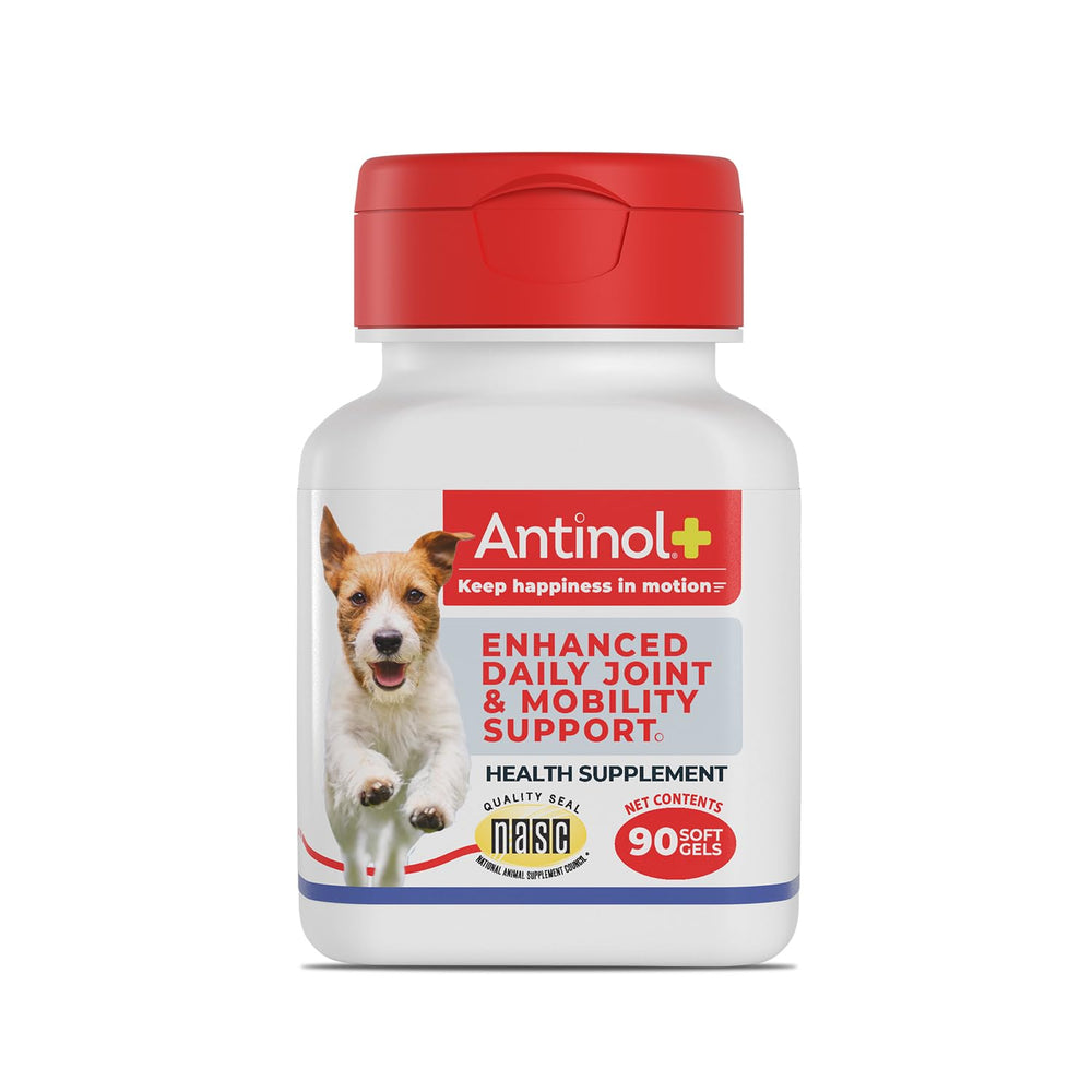 Antinol Plus bottle front showing the dog joint supplement for mobility support.