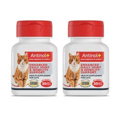 Antinol Plus bottle front highlighting cat joint support.