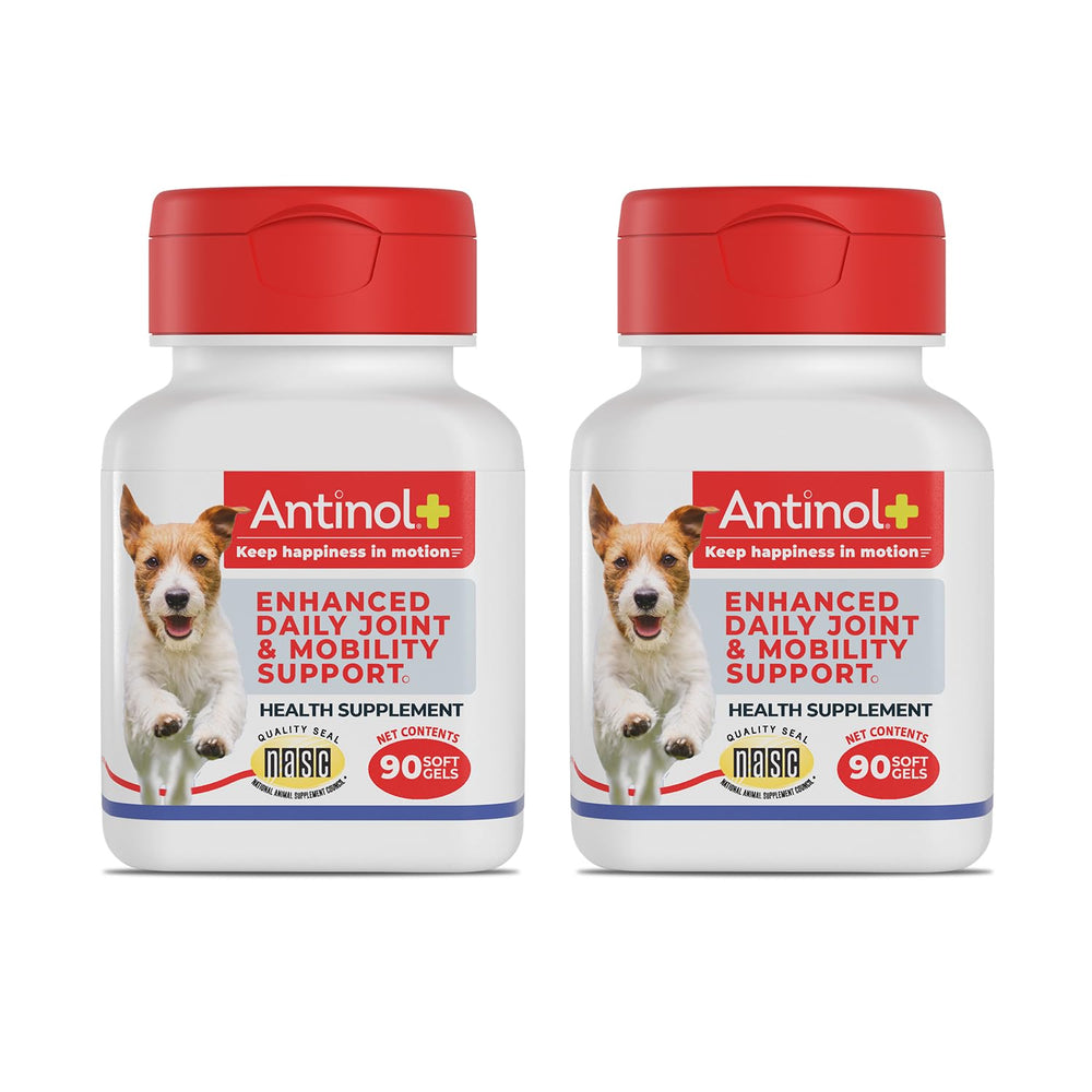 Antinol Plus mobility dog bottle close-up for daily joint support