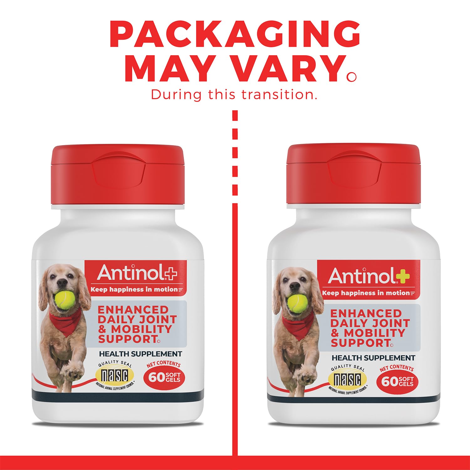 Antinol Plus multi-dog pack box, value option for ongoing mobility support.