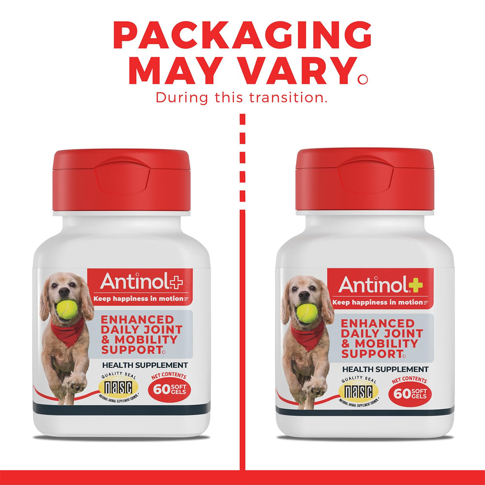 Antinol Plus multi-dog pack box, value option for ongoing mobility support.