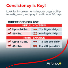 Antinol Plus omega-3 rich marine oil, antioxidant support for joints.