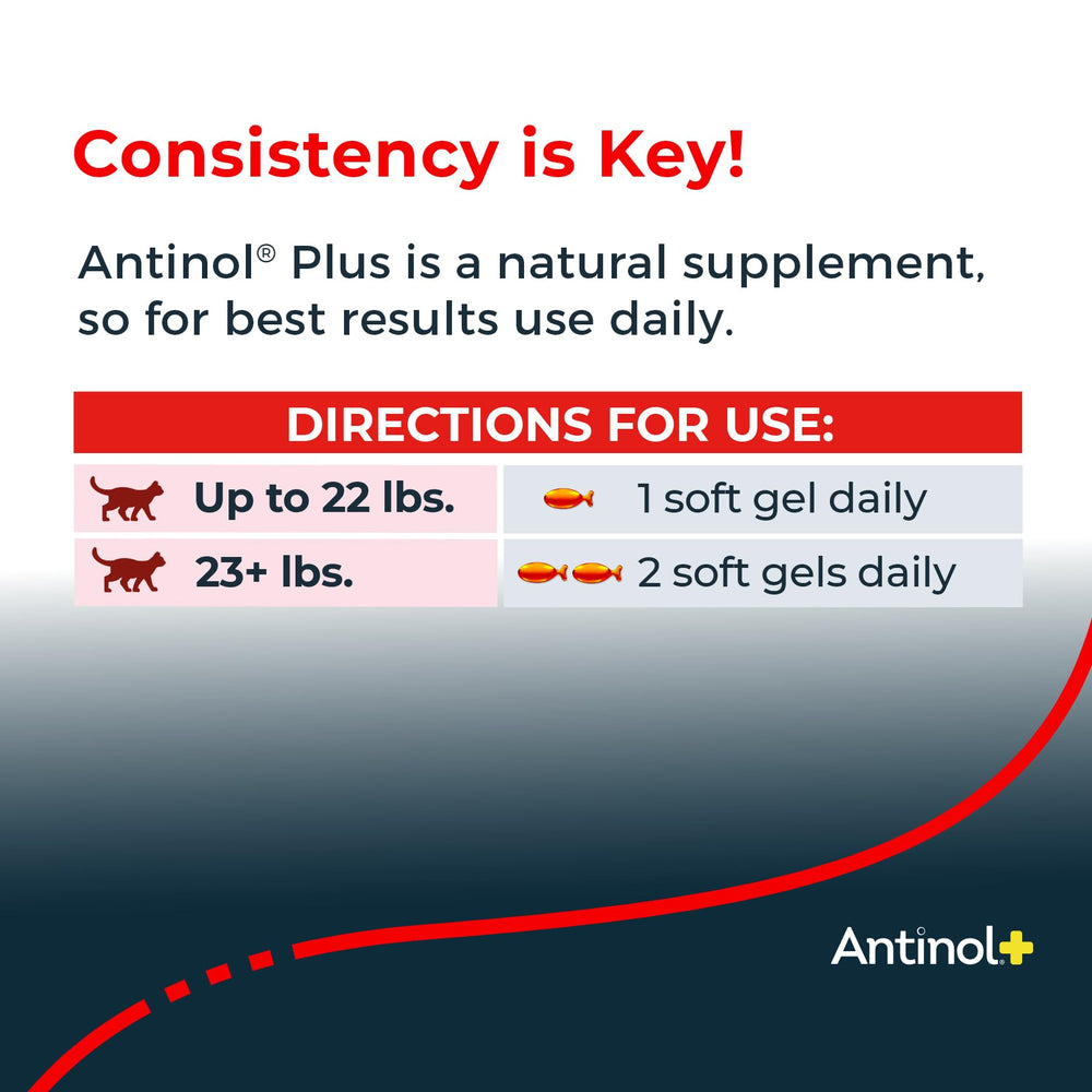 Antinol Plus packaging label, supports long-term use