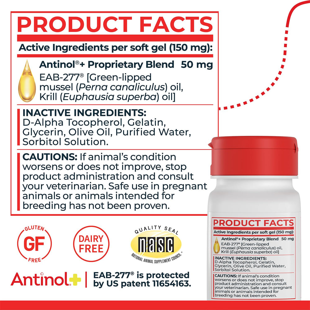 Antinol Plus small-dog serving pack suggesting suitable daily dosage for small dogs.