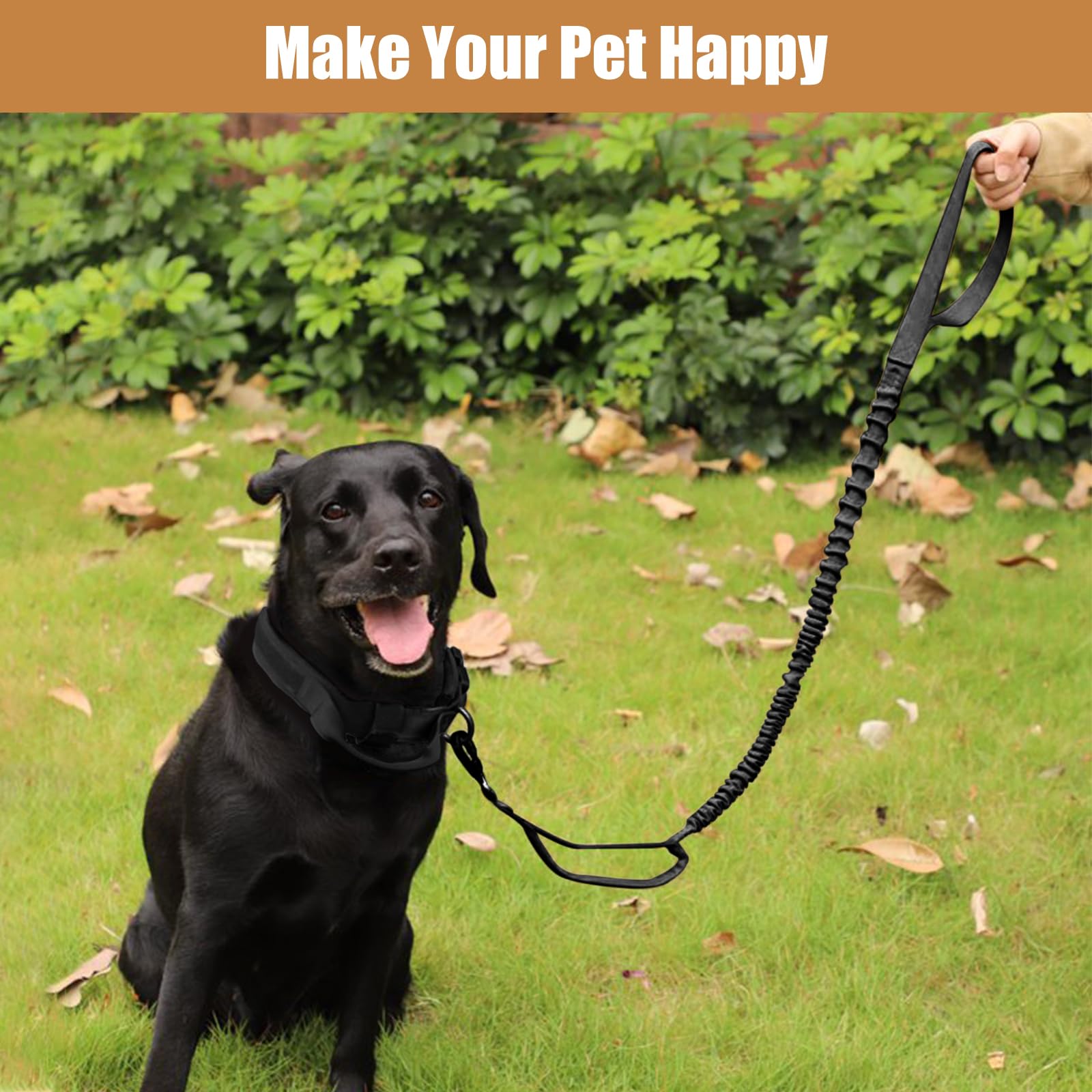 Antswish nylon collar with adjustable sizing, ideal for medium to large dogs.