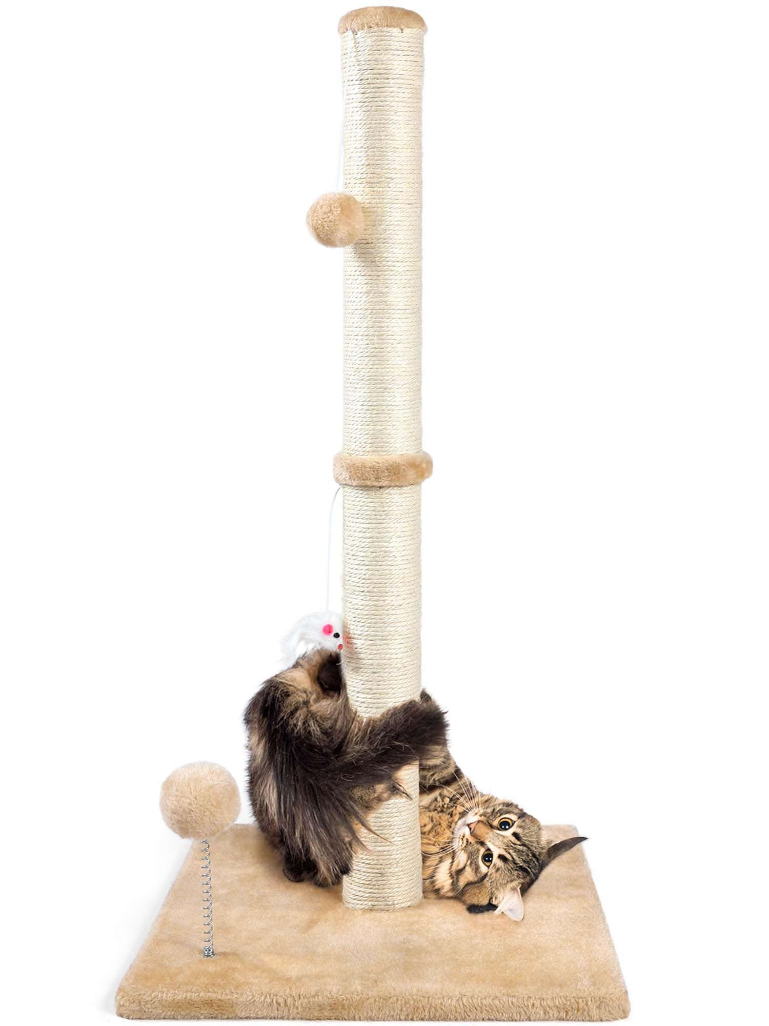 ANWA 32 inch tall cat scratching post beige ideal for full body scratching and activity