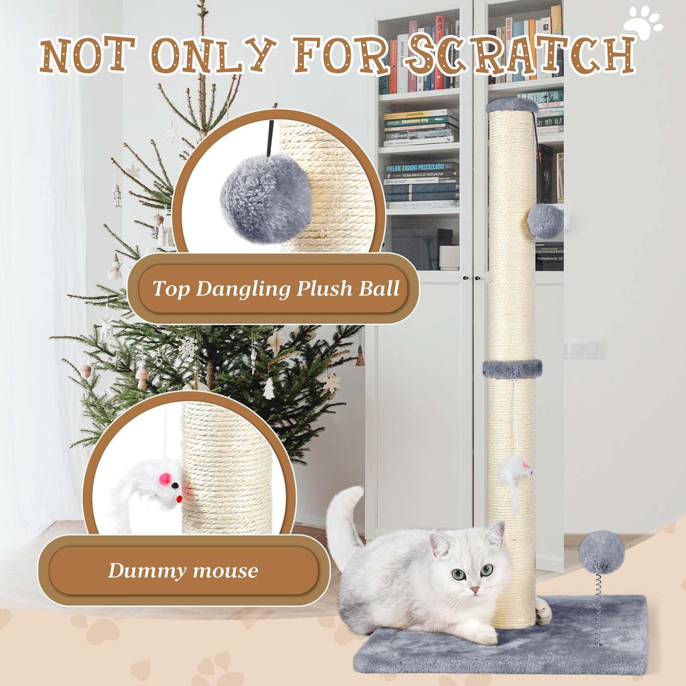 ANWA 3-in-1 design includes plush mouse and spring ball for varied play.