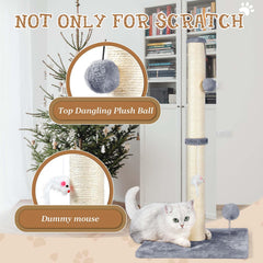 ANWA 3-in-1 design includes plush mouse and spring ball for varied play.