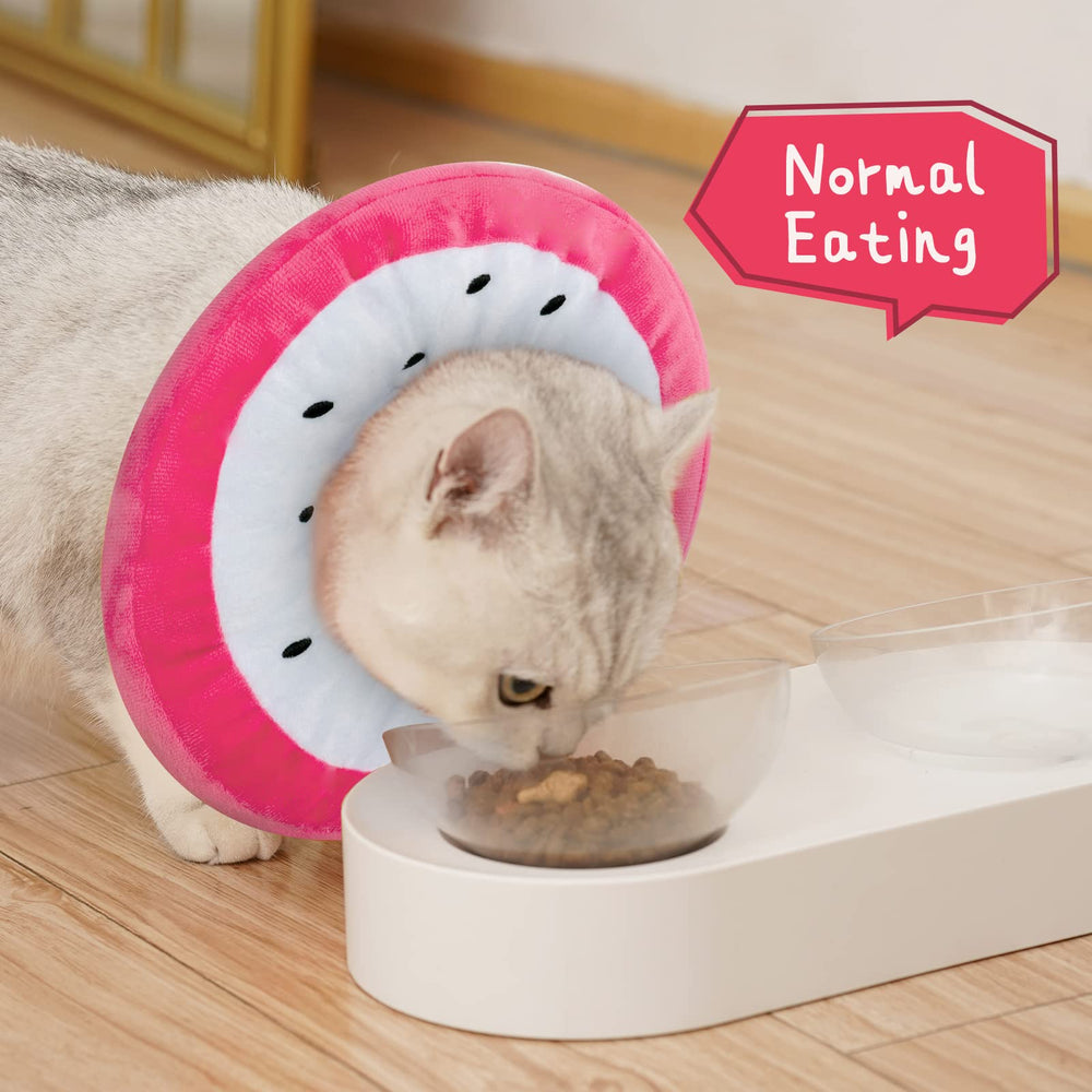 ANWA donut collar enabling eating and drinking during recovery