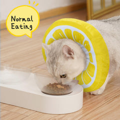ANWA cat cone collar eating-friendly view helps pets eat and drink normally.