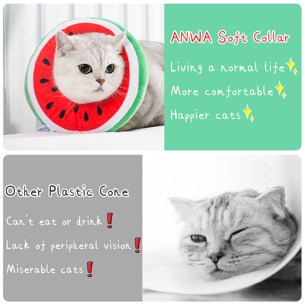 ANWA cat cone collar worn by a content cat in a comfy look
