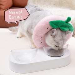 ANWA cat recovery soft fabric provides gentle daily wear and licking prevention