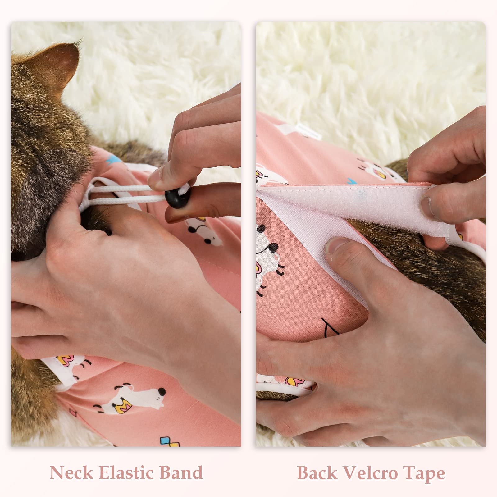 ANWA cat recovery suit covering abdomen to protect wounds.