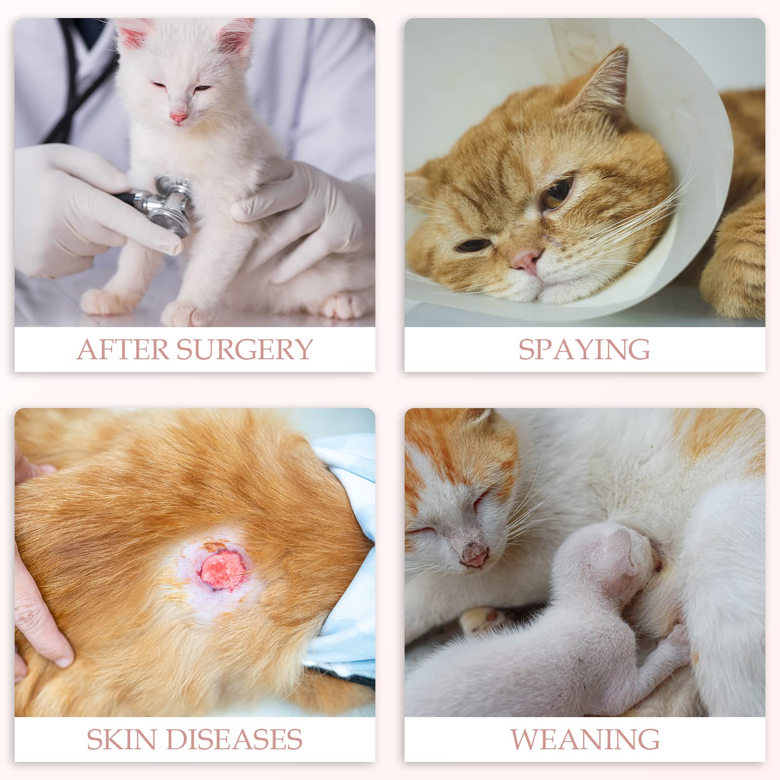 ANWA ideal for after surgery, spay, or skin issues.