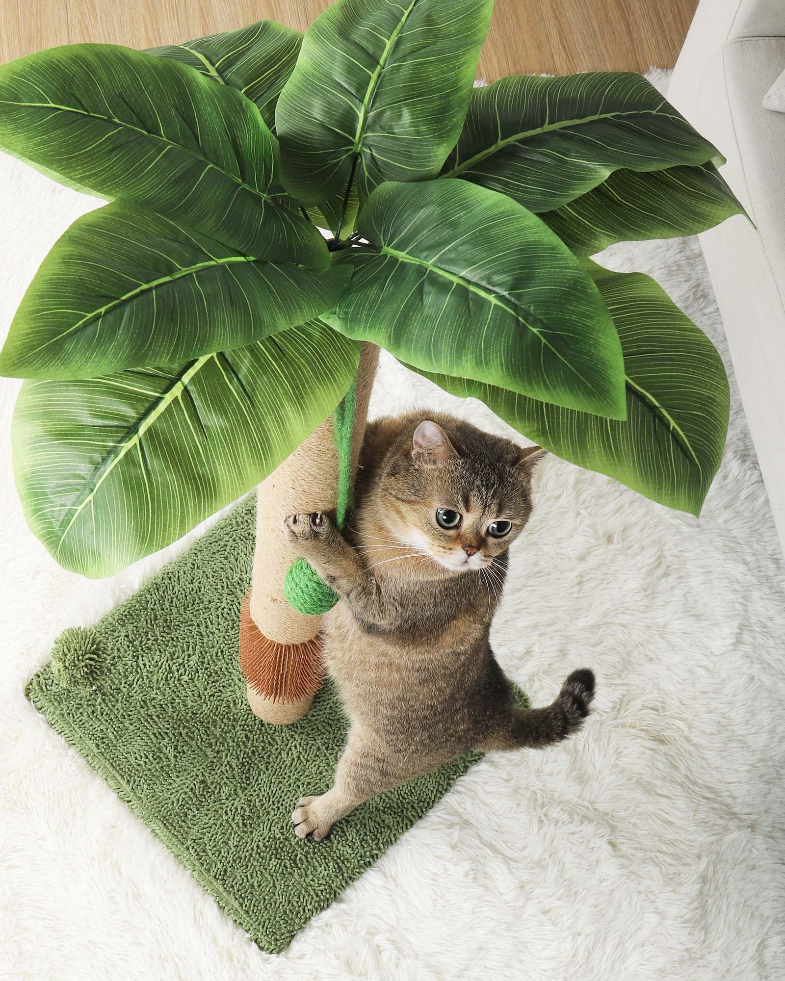 ANWA indoor-friendly cat post for scratching, rubbing, and stretching