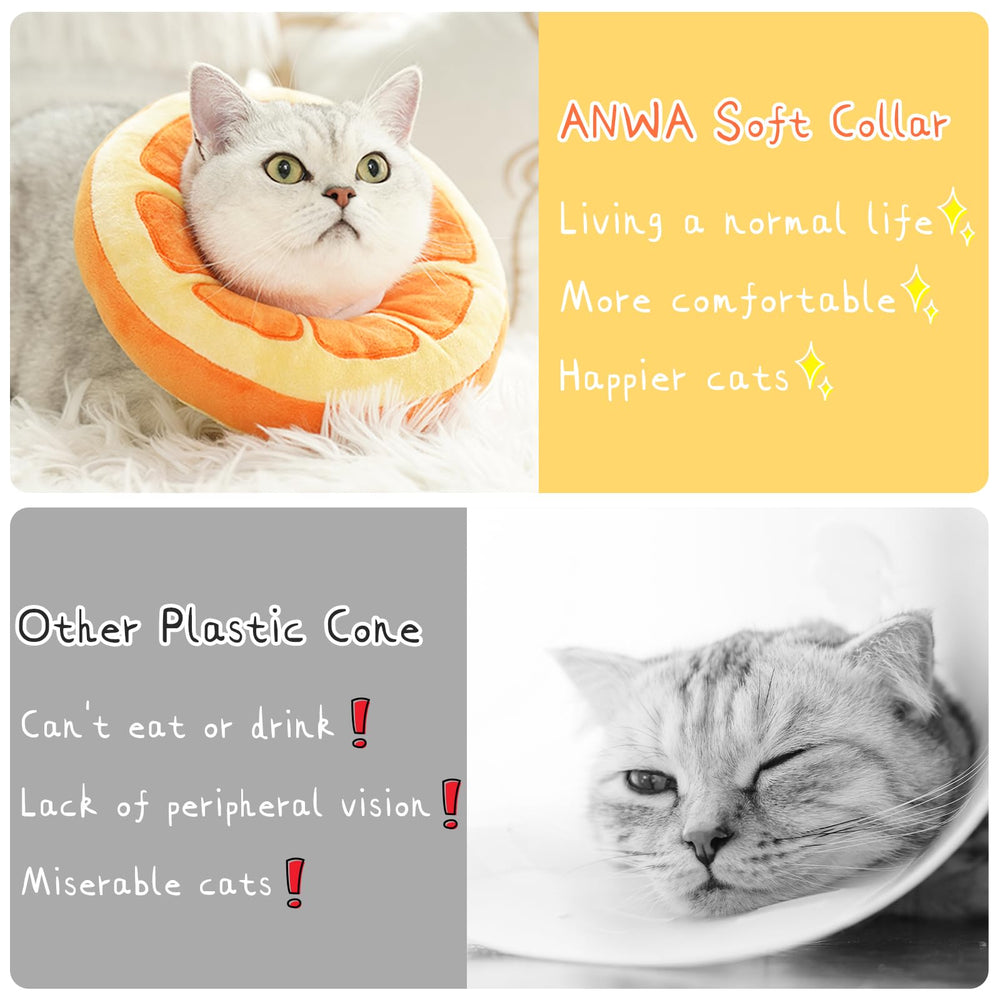 ANWA kitten resting with donut collar, resembles a cozy pillow