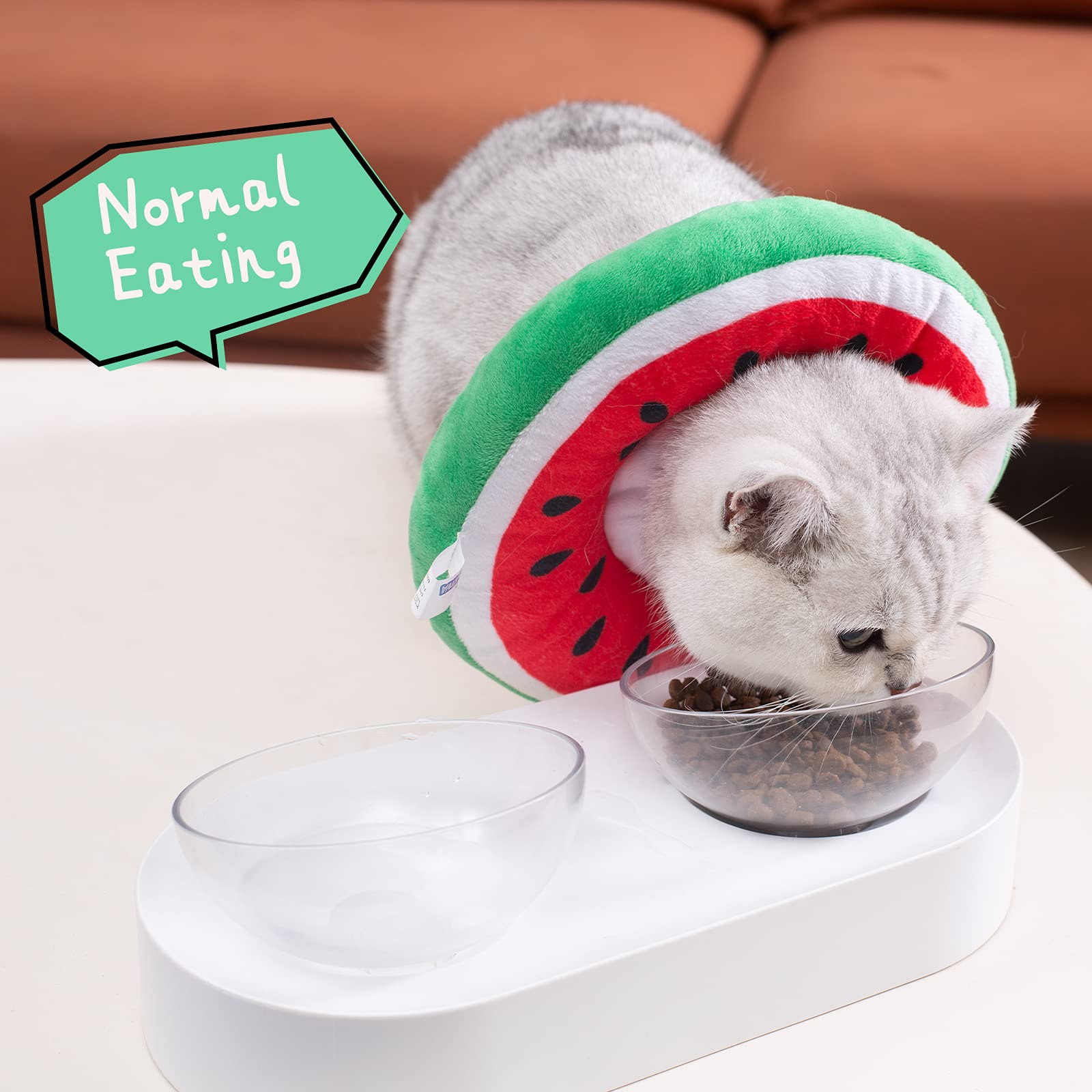 ANWA lightweight cone collar with clear sight for eating and play