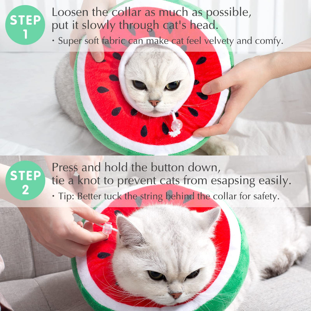 ANWA two-size range suitable for cats and small dogs