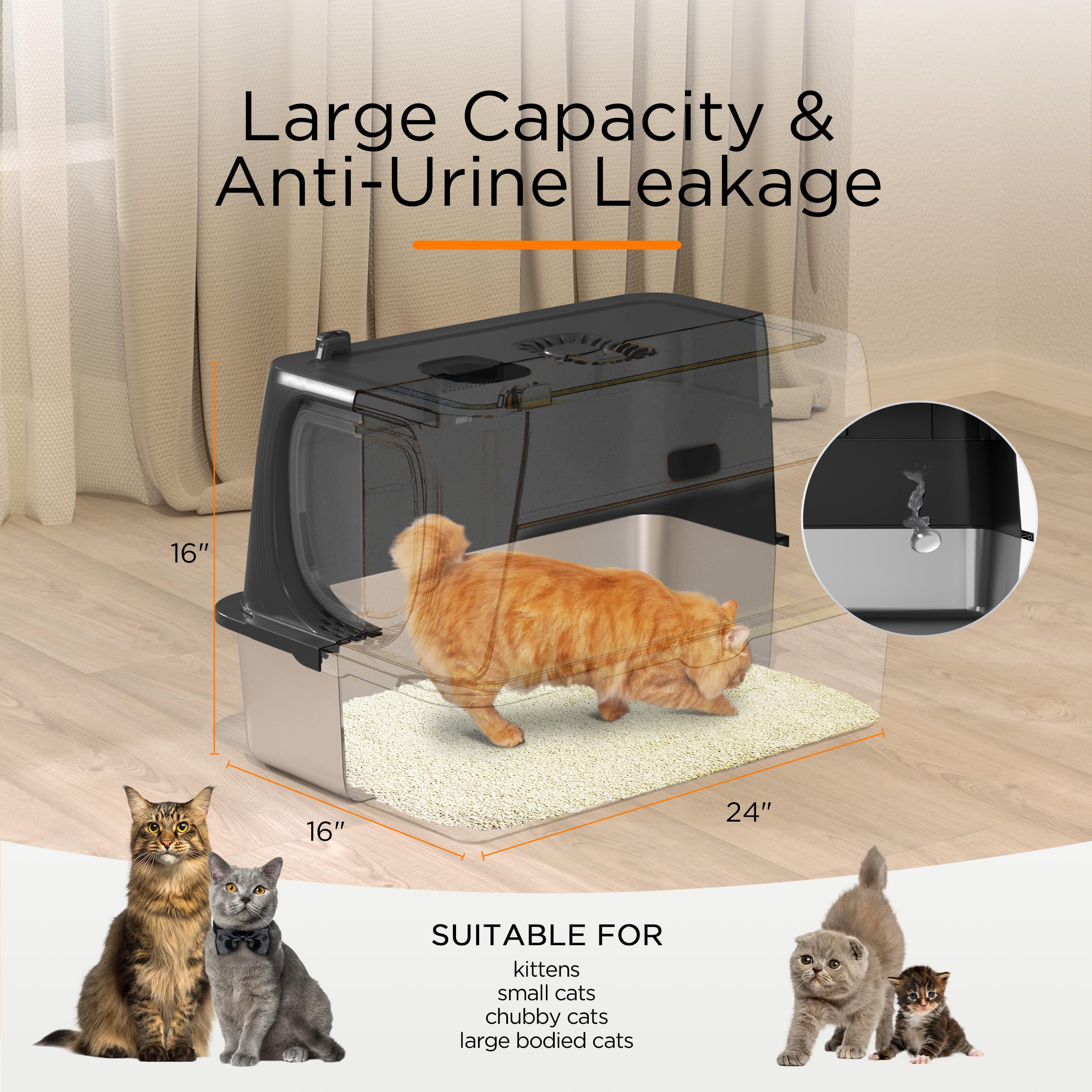 Anywish litter box with scoop and mat supports fast cleanup after playtime.