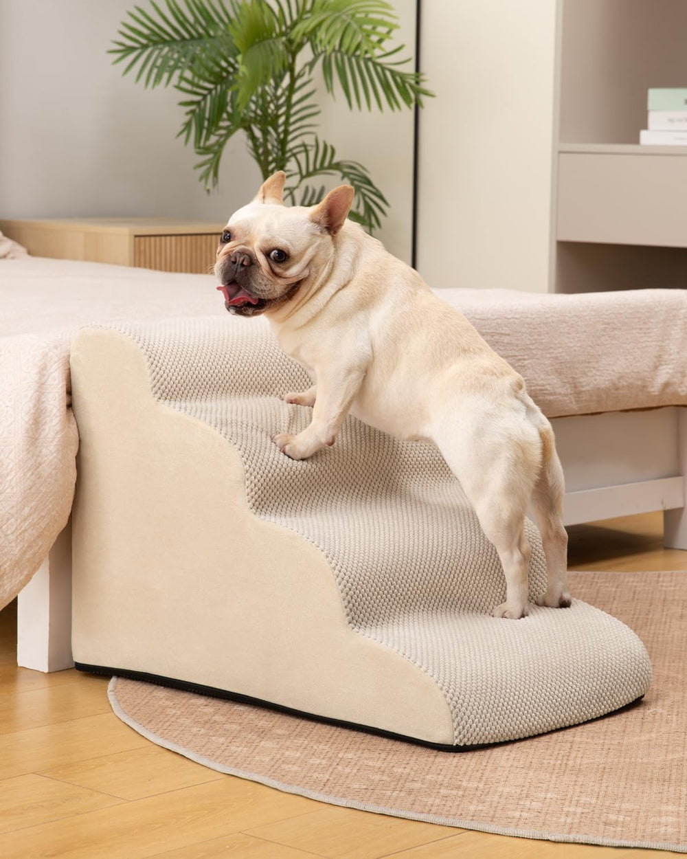 Curved ramp design aids puppies and pets with limited mobility.