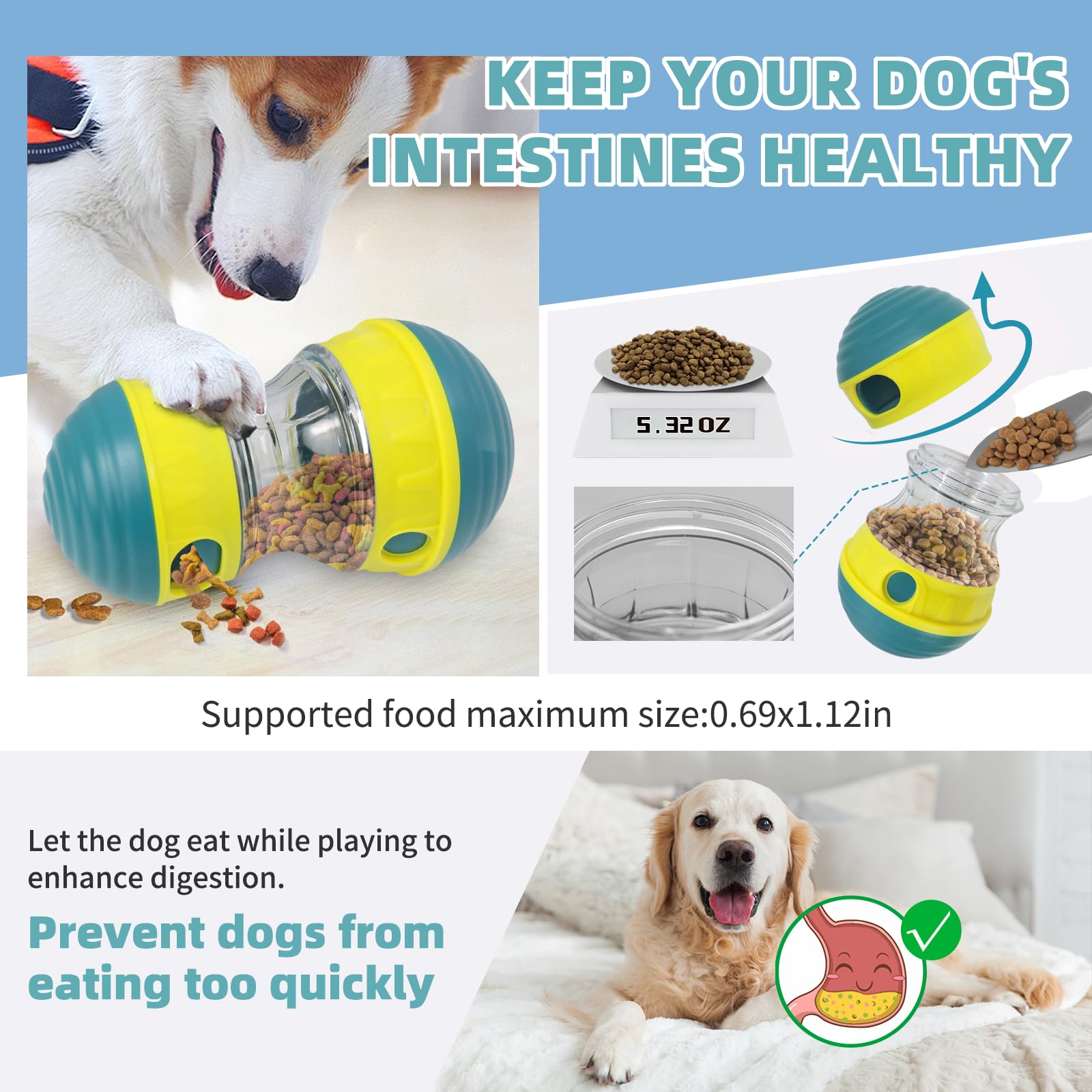 AOEEKI bright colors attract dogs and invite indoor or outdoor play.