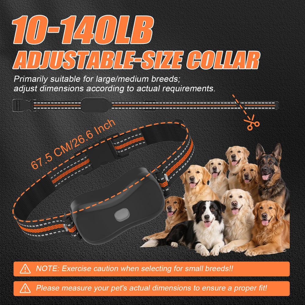 AOFANPET dog wearing collar outdoors to showcase versatility.
