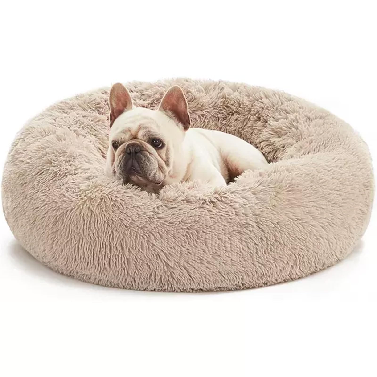 Aofast washable donut pet bed for round lounging and nesting.