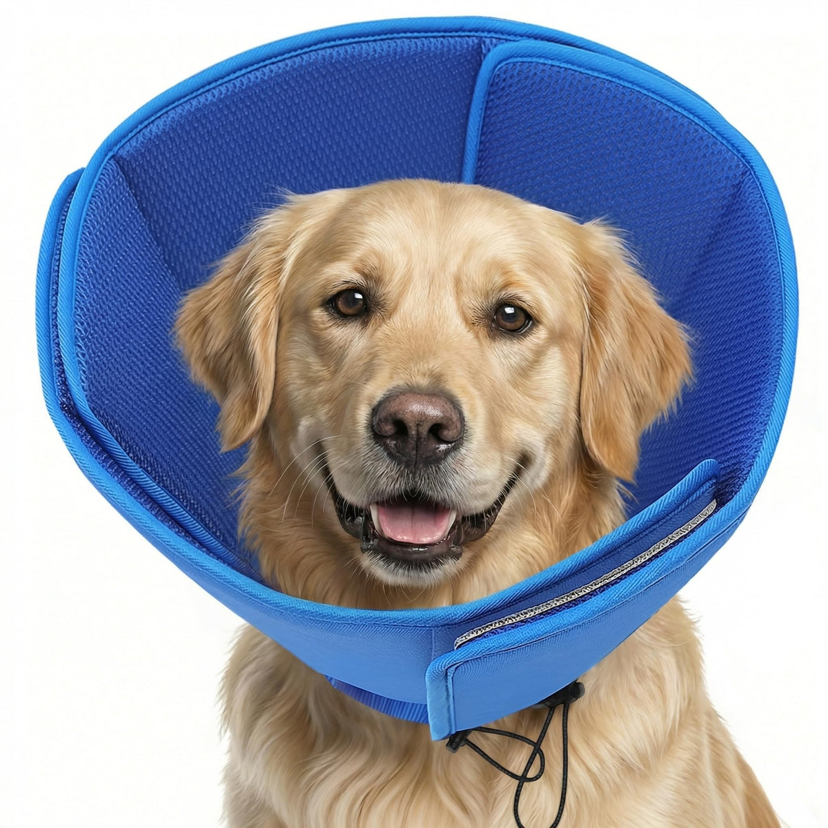 AOFITEE Soft Dog Cone neck area detail for comfort.
