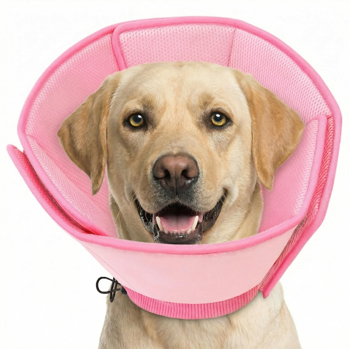 AOFITEE soft dog cone pink large front view for comfy recovery