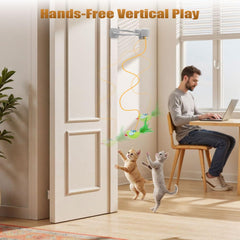 Aoioploa flying bird attachment in motion to engage a cat