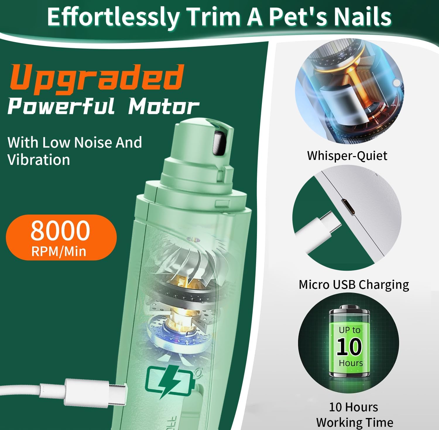 Aoioploa visible vessels aid precise trimming during grooming