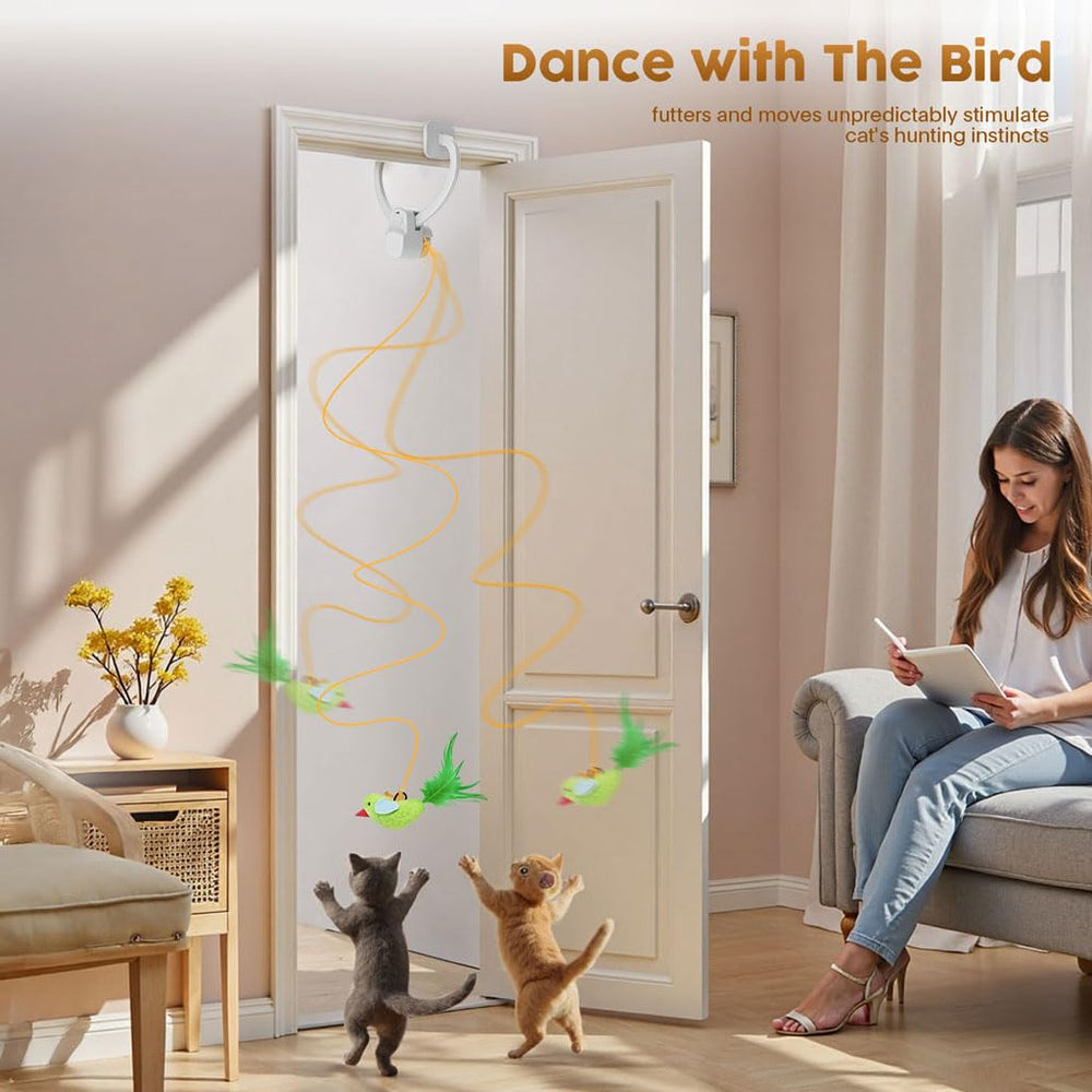 Aoioploa retractable line motion guiding a playful chase
