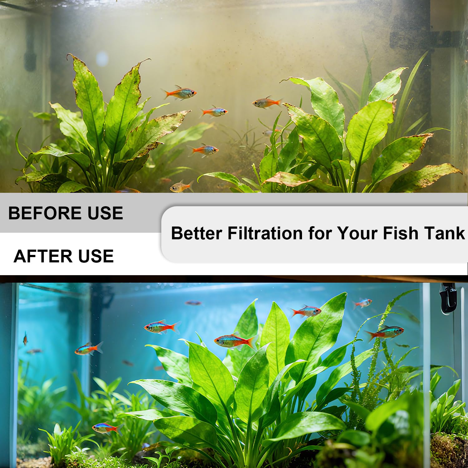 Aolleteau Foam filter traps debris for clearer tank water