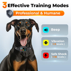 Aolulf training collar offers three modes for customizable training