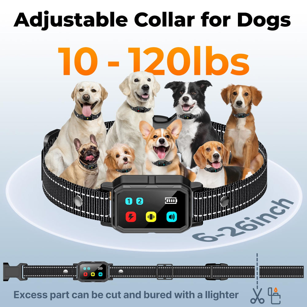 Long-lasting battery keeps training going between charges on the collar.