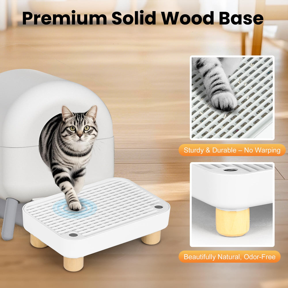 Aothey Litter Box Step non-slip surface supports safe entry for kittens.