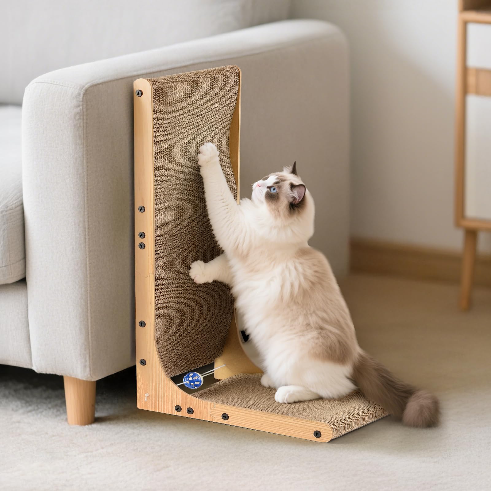 AOZITA eco-friendly recyclable cardboard supports mindful pet ownership