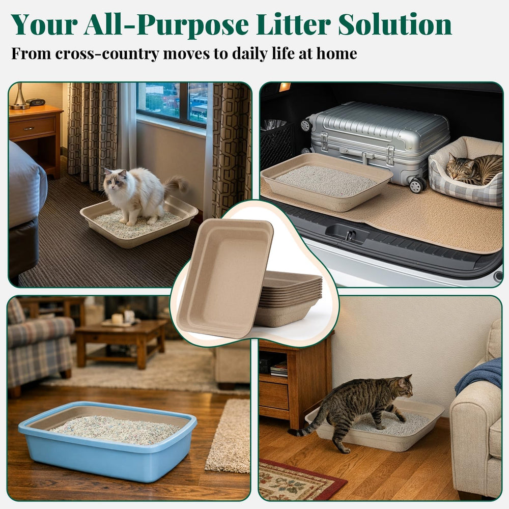AOZITA durable litter box protects floors during cats' bathroom moments.