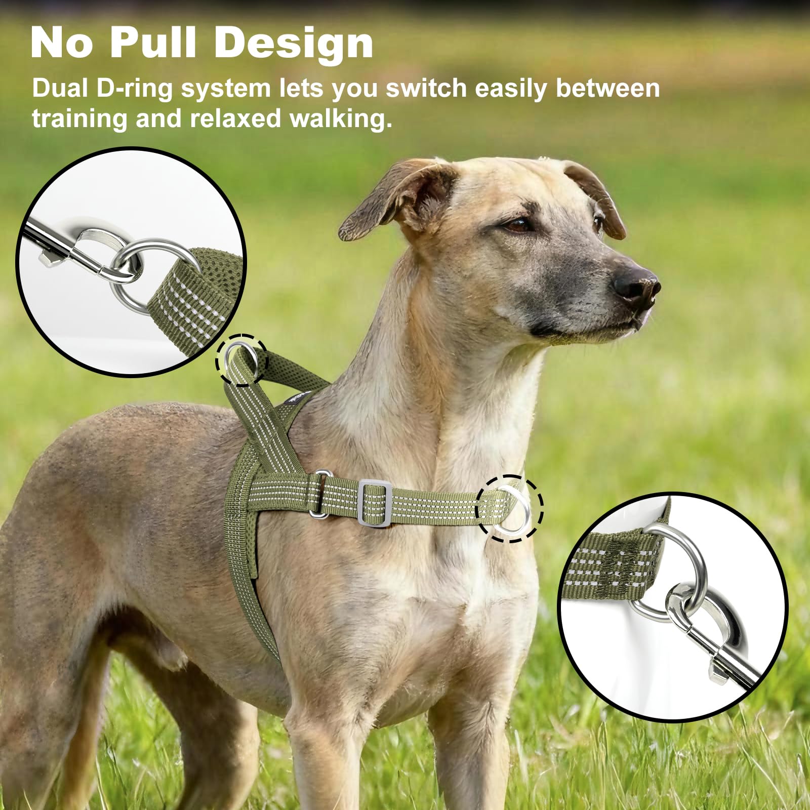 APakBak adjustable chest and belly fit ensures secure, escape-proof daily wear.