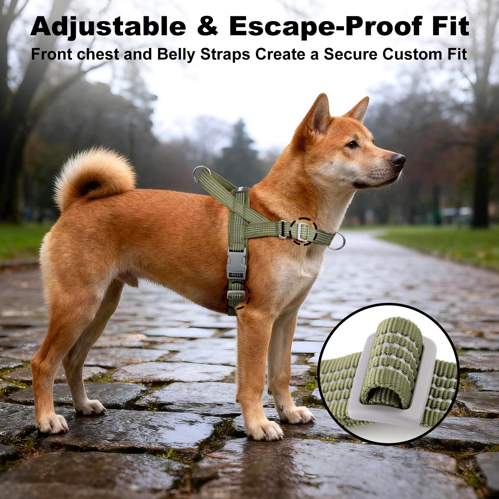 APakBak built-in handle provides quick control on crowded streets or trails.