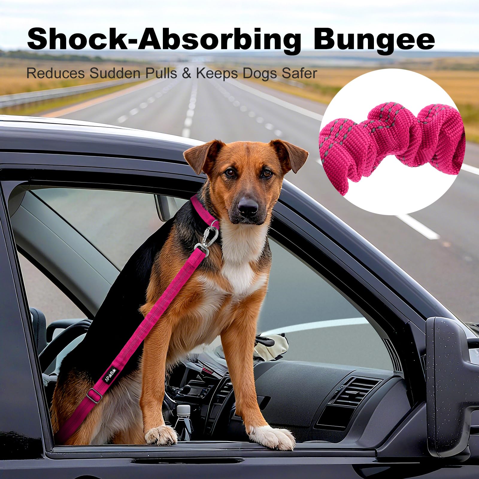 APakBak adjustable length strap fits dogs of all sizes