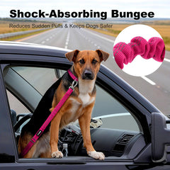 APakBak adjustable length strap fits dogs of all sizes