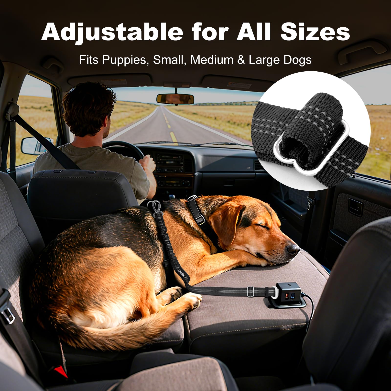 APAKBAK reflective strap keeps your dog visible during night drives